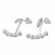 Aretes