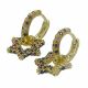Aretes