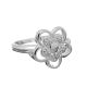 Anillo
