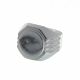 Anillo de Hombre