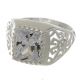 Anillo de Hombre