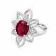 Anillo