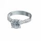 Anillo