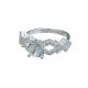 Anillo