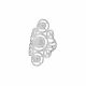 Anillo Largo