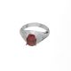 Anillo