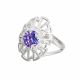 Anillo