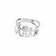 Anillo Liso