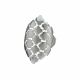 Anillo Largo