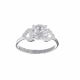 Anillo de Compromiso