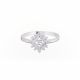 Anillo
