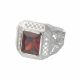 Anillo de Hombre