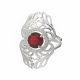 Anillo