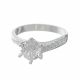 Anillo
