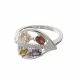 Anillo