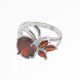 Anillo