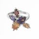 Anillo