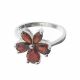 Anillo