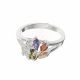 Anillo