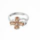 Anillo