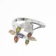 Anillo