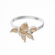 Anillo