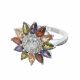 Anillo