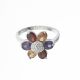 Anillo