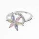 Anillo