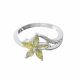Anillo