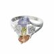 Anillo