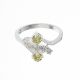 Anillo