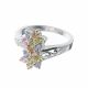 Anillo