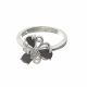 Anillo