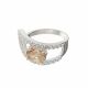 Anillo