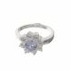 Anillo