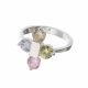 Anillo