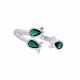 Anillo