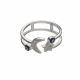 Anillo De Luna