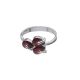 Anillo