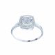 Anillo