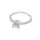 Anillo de Compromiso