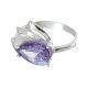 Anillo