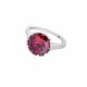 Anillo