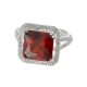 Anillo