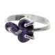 Anillo