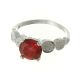 Anillo