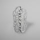 Anillo