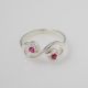 Anillo