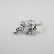 Anillo Delfines
